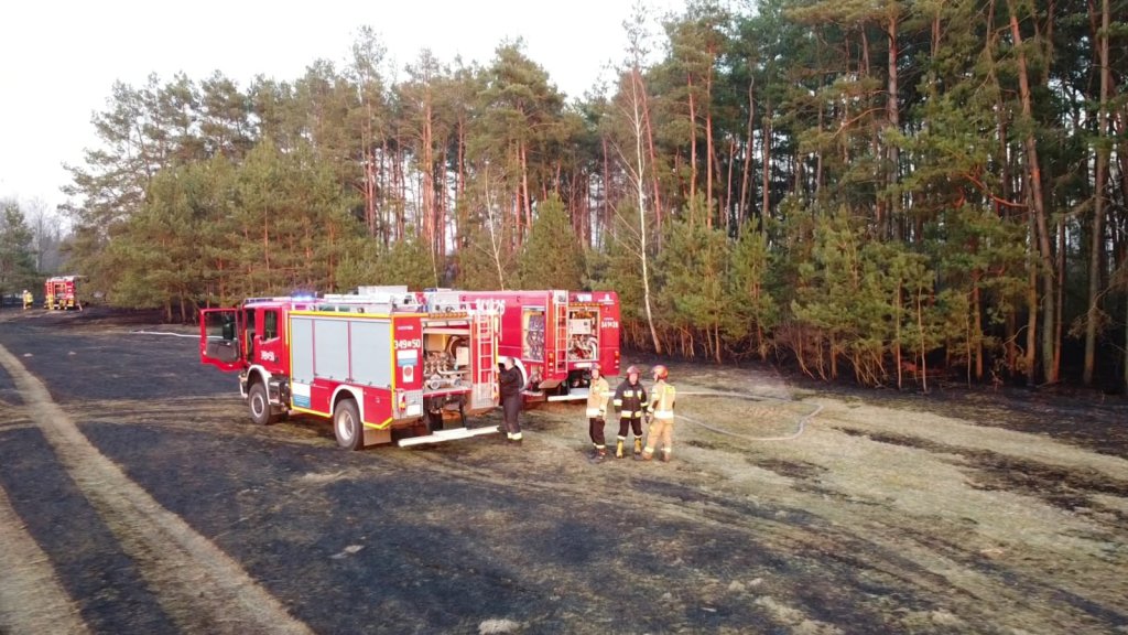 Plaga pożarów traw na nieużytkach [24.03.2022] - zdjęcie #5 - eOstroleka.pl