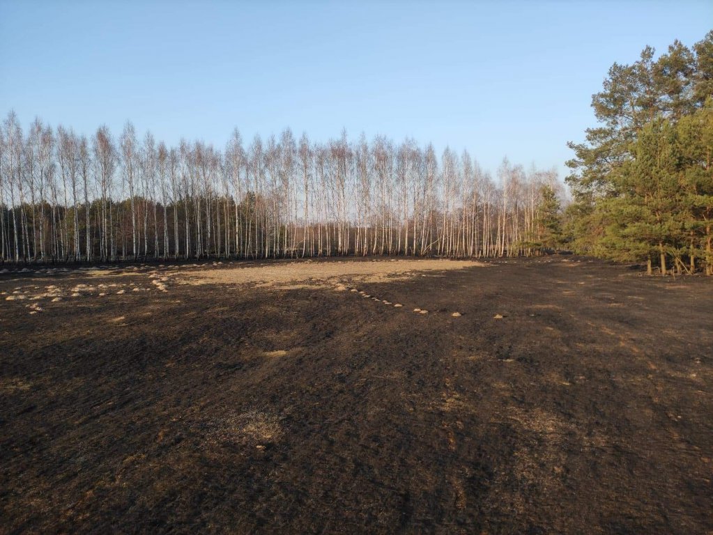 Plaga pożarów traw na nieużytkach [24.03.2022] - zdjęcie #6 - eOstroleka.pl