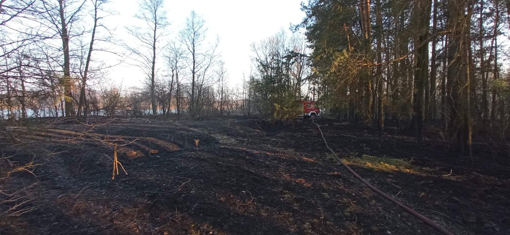 Plaga pożarów traw na nieużytkach [24.03.2022] - zdjęcie #7 - eOstroleka.pl