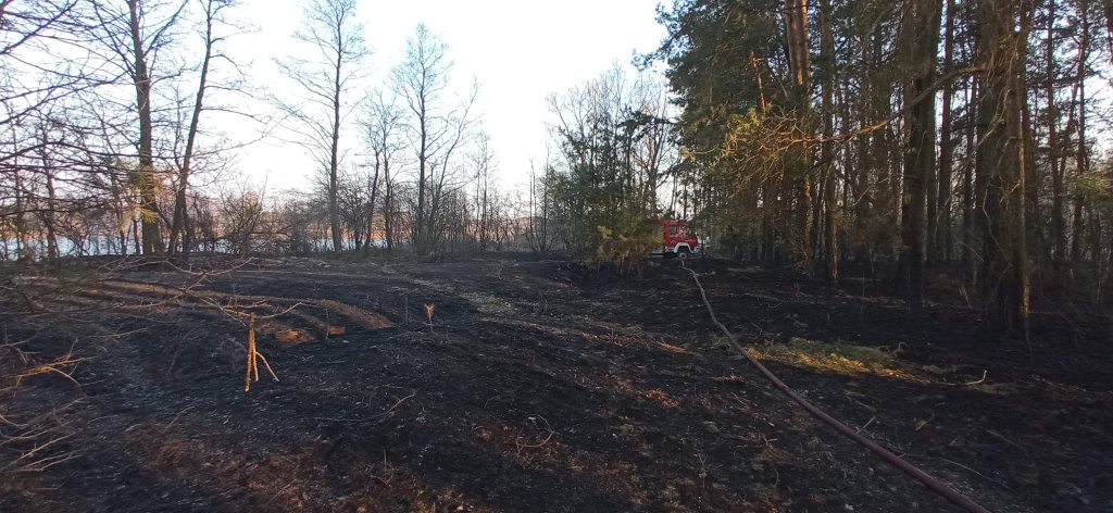 Plaga pożarów traw na nieużytkach [24.03.2022] - zdjęcie #27 - eOstroleka.pl