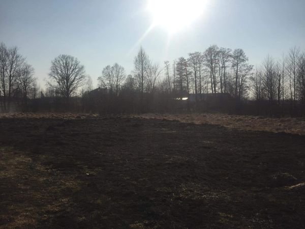 Plaga pożarów traw na nieużytkach [24.03.2022] - zdjęcie #12 - eOstroleka.pl