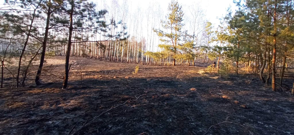 Plaga pożarów traw na nieużytkach [24.03.2022] - zdjęcie #14 - eOstroleka.pl