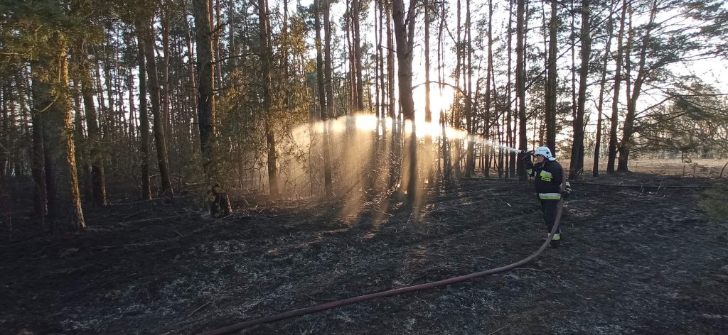 Plaga pożarów traw na nieużytkach [24.03.2022] - zdjęcie #17 - eOstroleka.pl