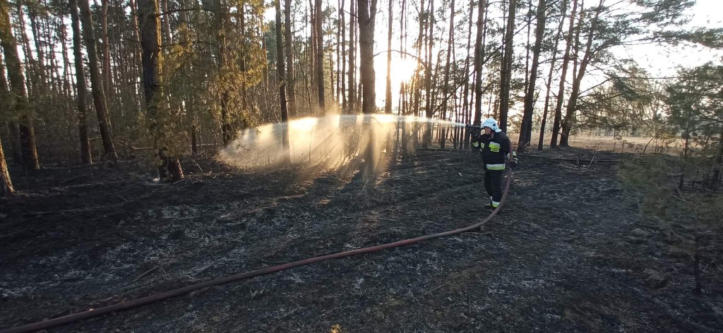 Plaga pożarów traw na nieużytkach [24.03.2022] - zdjęcie #15 - eOstroleka.pl