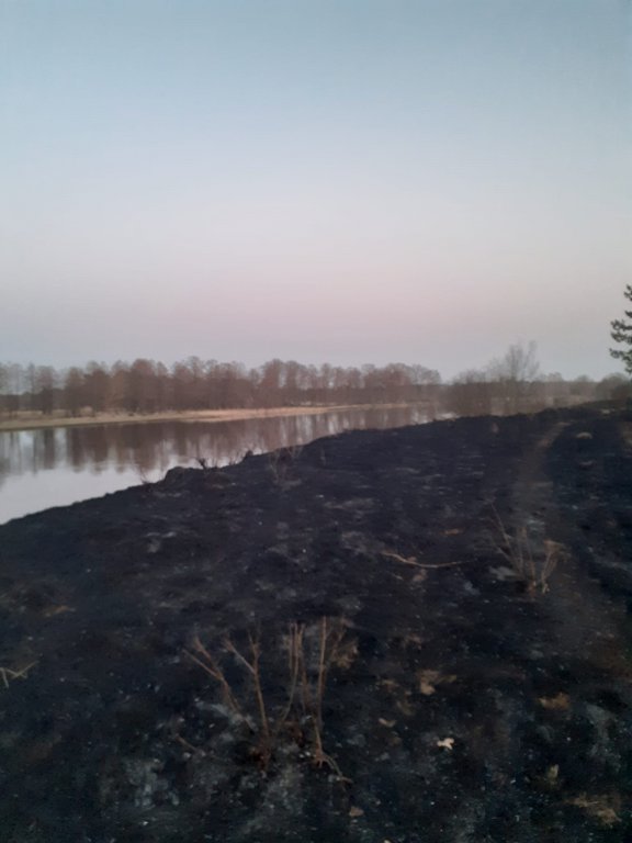 Plaga pożarów traw na nieużytkach [24.03.2022] - zdjęcie #20 - eOstroleka.pl