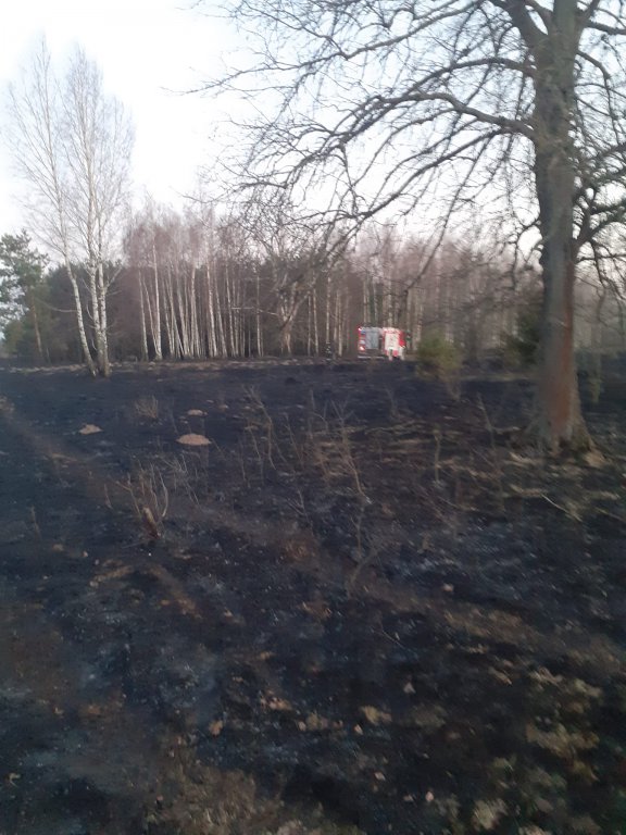 Plaga pożarów traw na nieużytkach [24.03.2022] - zdjęcie #21 - eOstroleka.pl