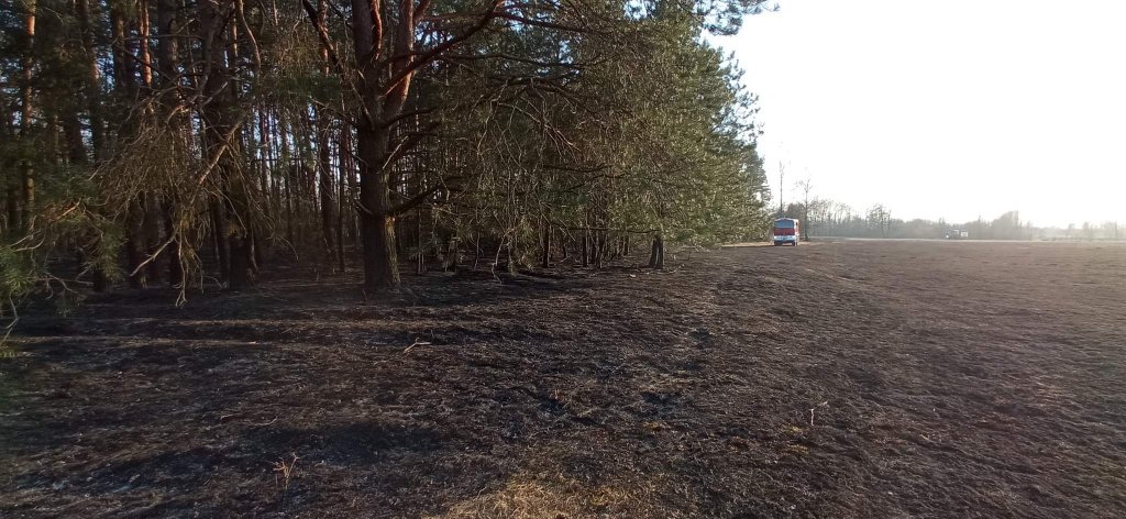 Plaga pożarów traw na nieużytkach [24.03.2022] - zdjęcie #11 - eOstroleka.pl