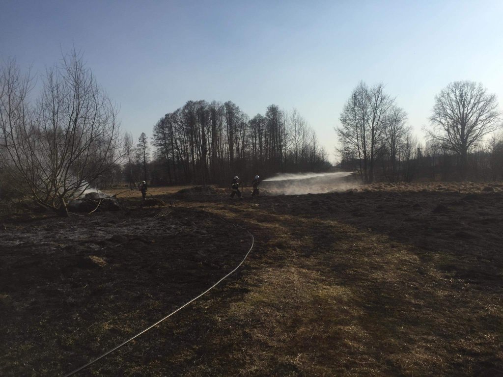 Plaga pożarów traw na nieużytkach [24.03.2022] - zdjęcie #8 - eOstroleka.pl