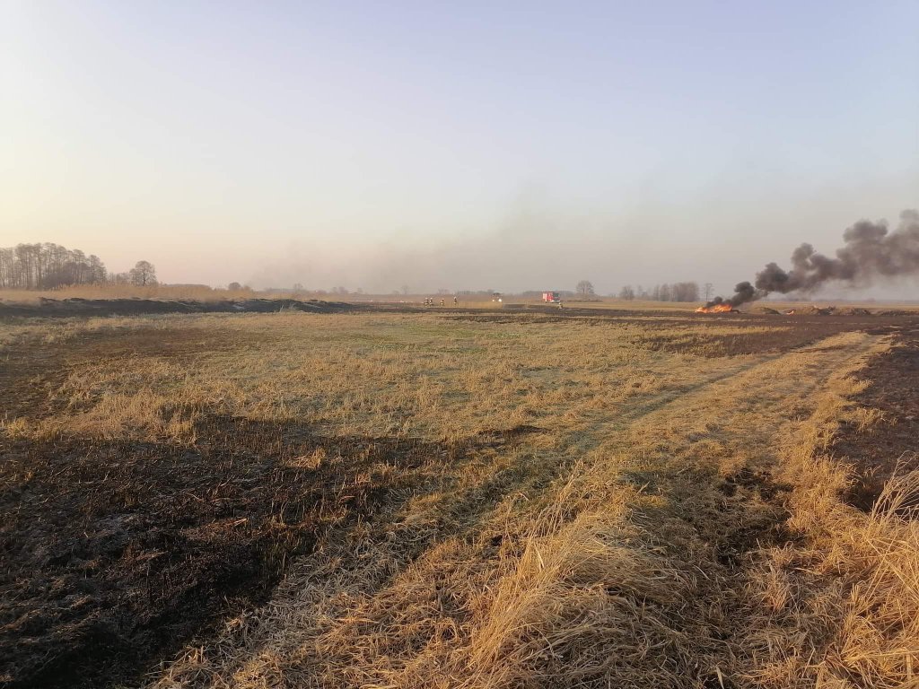 Plaga pożarów traw na nieużytkach [24.03.2022] - zdjęcie #6 - eOstroleka.pl