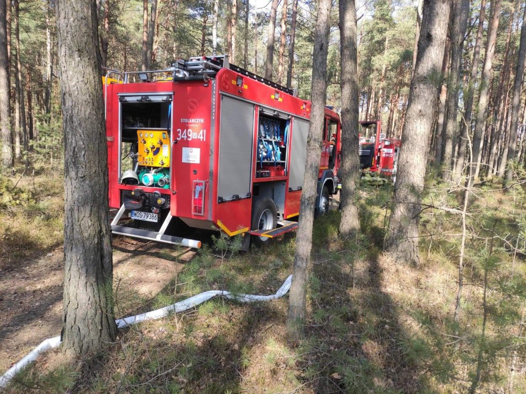 Plaga pożarów traw na nieużytkach [24.03.2022] - zdjęcie #31 - eOstroleka.pl