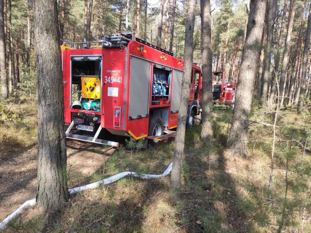 Plaga pożarów traw na nieużytkach [24.03.2022] - zdjęcie #3 - eOstroleka.pl