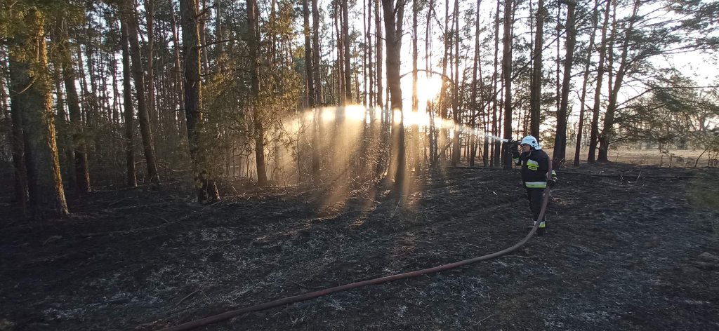 Plaga pożarów traw na nieużytkach [24.03.2022] - zdjęcie #32 - eOstroleka.pl