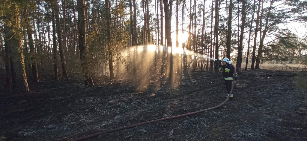 Plaga pożarów traw na nieużytkach [24.03.2022] - zdjęcie #2 - eOstroleka.pl