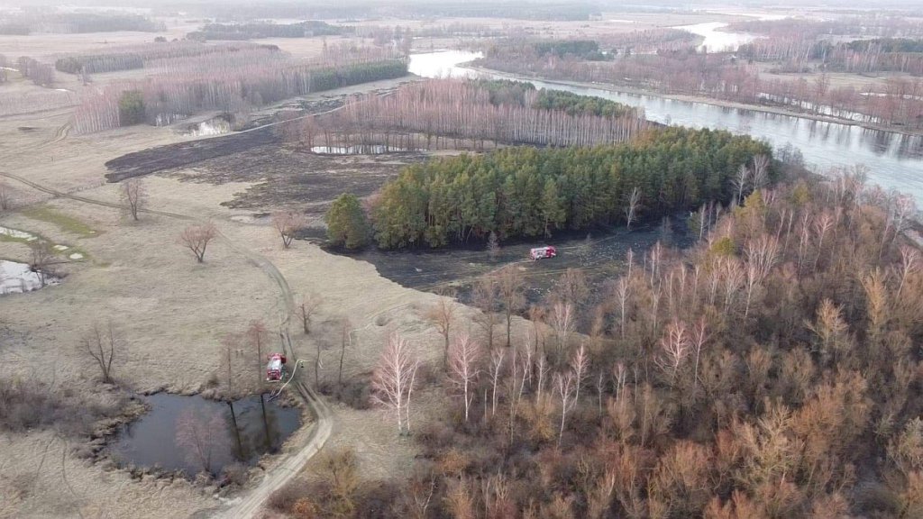 Plaga pożarów traw na nieużytkach [24.03.2022] - zdjęcie #1 - eOstroleka.pl