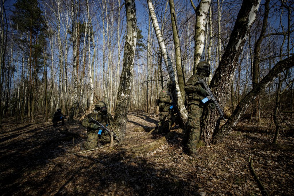 Terytorialsi z Zegrza rozwijają swoje umiejętności - zdjęcie #5 - eOstroleka.pl