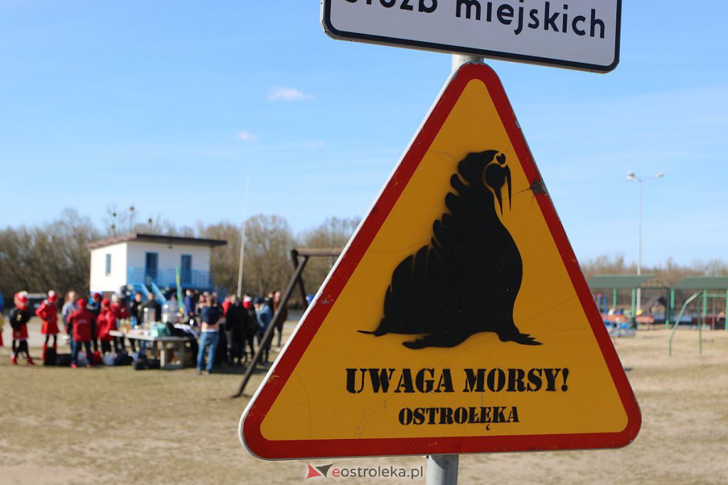 Ostrołęckie Morsy zakończyły sezon [26.03.2022] - zdjęcie #138 - eOstroleka.pl