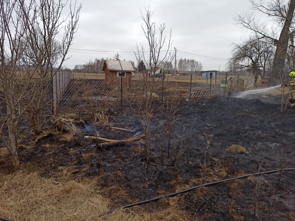 Pożar pod Troszynem. Niebezpiecznie blisko zabudowań paliła się sucha trawa [26.03.2022] - zdjęcie #2 - eOstroleka.pl
