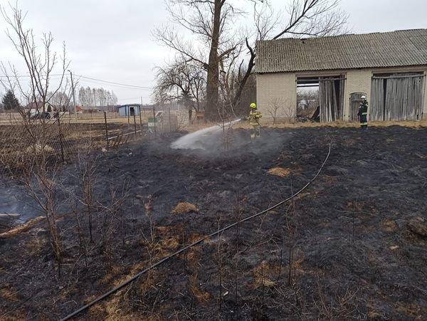 Pożar pod Troszynem. Niebezpiecznie blisko zabudowań paliła się sucha trawa [26.03.2022] - zdjęcie #4 - eOstroleka.pl