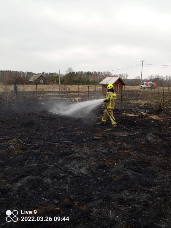 Pożar pod Troszynem. Niebezpiecznie blisko zabudowań paliła się sucha trawa [26.03.2022] - zdjęcie #7 - eOstroleka.pl