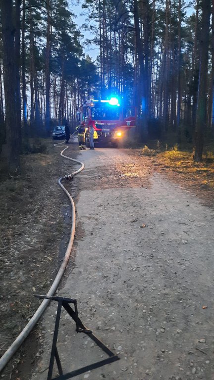 Pożary lasów na terenie gmin Myszyniec i Kadzidło. Z ogniem walczyło 6 jednostek strażackich [03.04.2022] - zdjęcie #9 - eOstroleka.pl