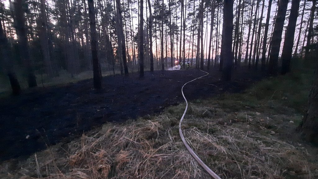 Pożary lasów na terenie gmin Myszyniec i Kadzidło. Z ogniem walczyło 6 jednostek strażackich [03.04.2022] - zdjęcie #6 - eOstroleka.pl