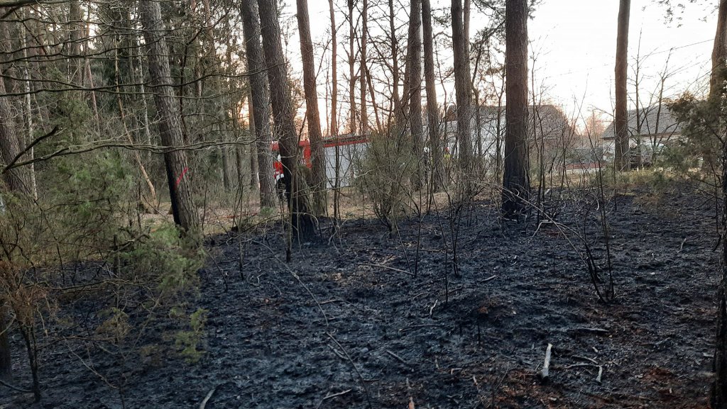Pożary lasów na terenie gmin Myszyniec i Kadzidło. Z ogniem walczyło 6 jednostek strażackich [03.04.2022] - zdjęcie #3 - eOstroleka.pl