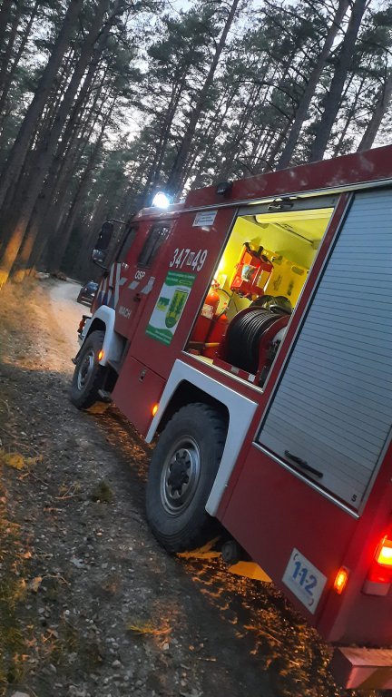 Pożary lasów na terenie gmin Myszyniec i Kadzidło. Z ogniem walczyło 6 jednostek strażackich [03.04.2022] - zdjęcie #2 - eOstroleka.pl