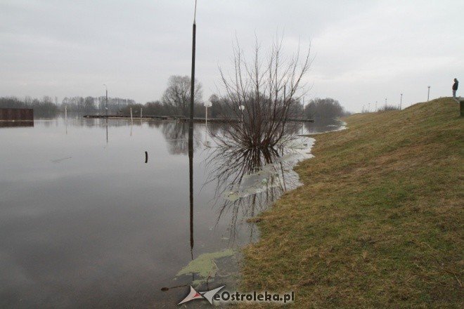 Narew wylewa (11-02-2011) - zdjęcie #13 - eOstroleka.pl