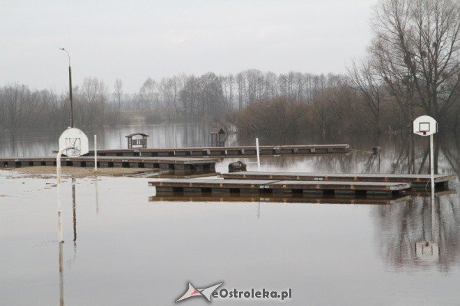 Narew wylewa (11-02-2011) - zdjęcie #7 - eOstroleka.pl