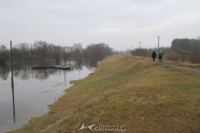 Narew wylewa (11-02-2011) - zdjęcie #6 - eOstroleka.pl