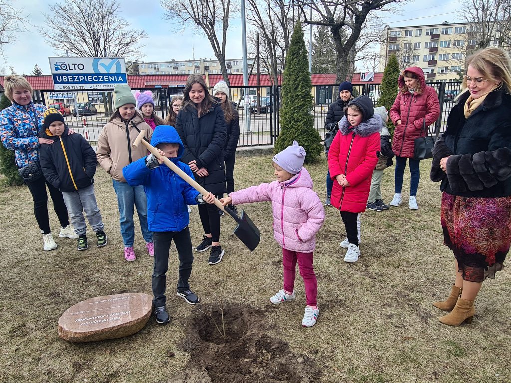 Dąb Przyjaźni Polsko-Ukraińskiej przed Szkołą Podstawową Nr 6  - zdjęcie #16 - eOstroleka.pl