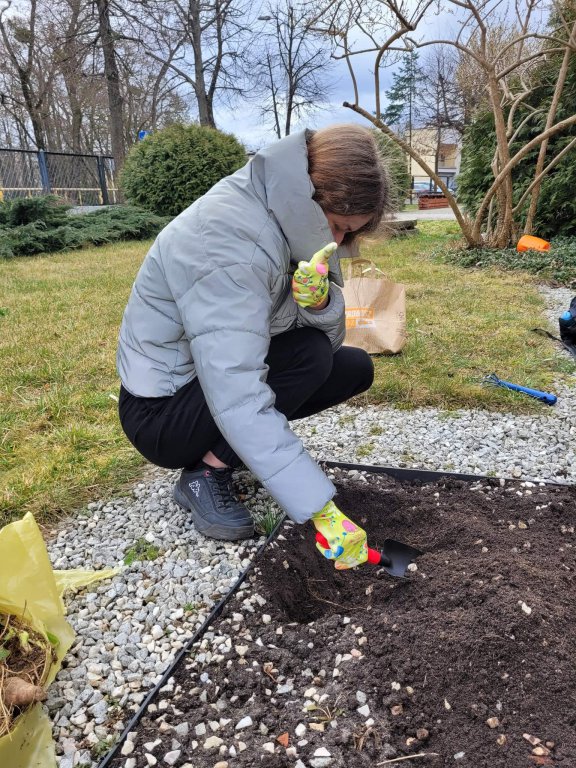 Ekodomki dla Owadów przy ZSZ 4 - zdjęcie #6 - eOstroleka.pl
