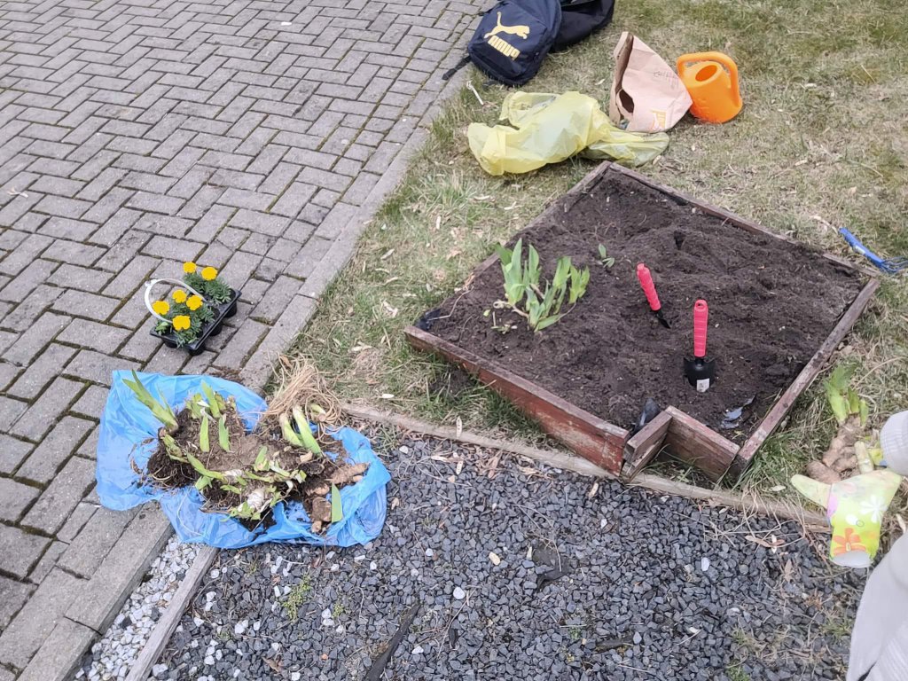 Ekodomki dla Owadów przy ZSZ 4 - zdjęcie #5 - eOstroleka.pl