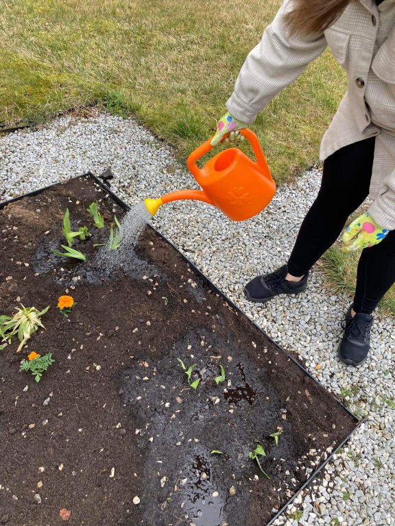 Ekodomki dla Owadów przy ZSZ 4 - zdjęcie #4 - eOstroleka.pl
