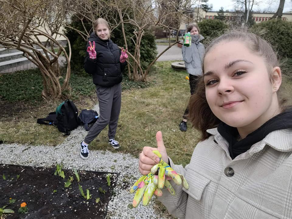 Ekodomki dla Owadów przy ZSZ 4 - zdjęcie #2 - eOstroleka.pl
