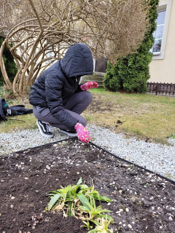 Ekodomki dla Owadów przy ZSZ 4 - zdjęcie #1 - eOstroleka.pl