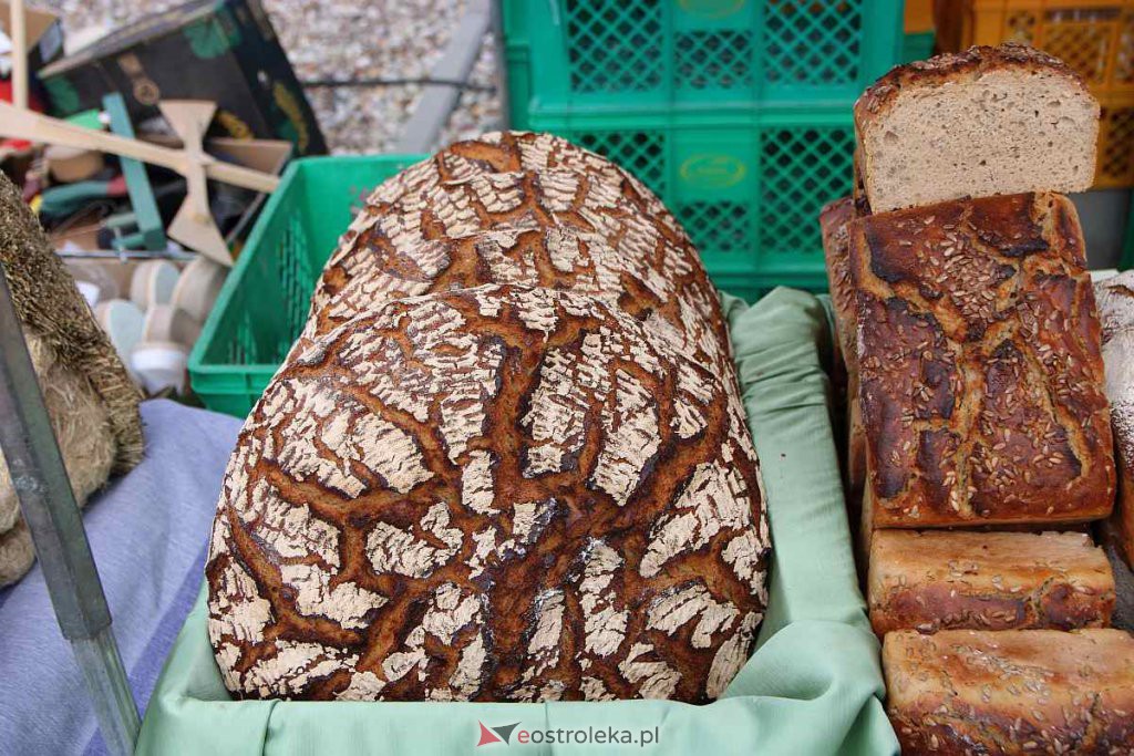 Niedziela Palmowa w Łysych [10.04.2022] - zdjęcie #180 - eOstroleka.pl