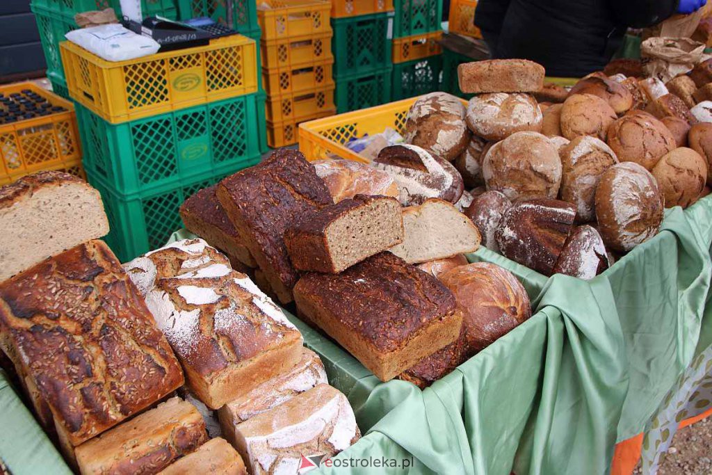 Niedziela Palmowa w Łysych [10.04.2022] - zdjęcie #178 - eOstroleka.pl