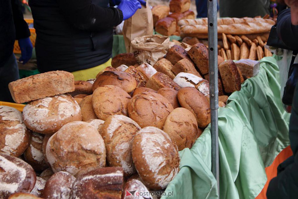 Niedziela Palmowa w Łysych [10.04.2022] - zdjęcie #176 - eOstroleka.pl