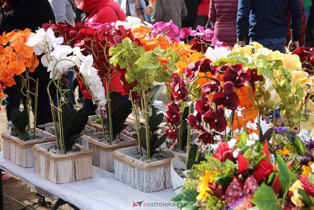 Niedziela Palmowa w Łysych [10.04.2022] - zdjęcie #158 - eOstroleka.pl