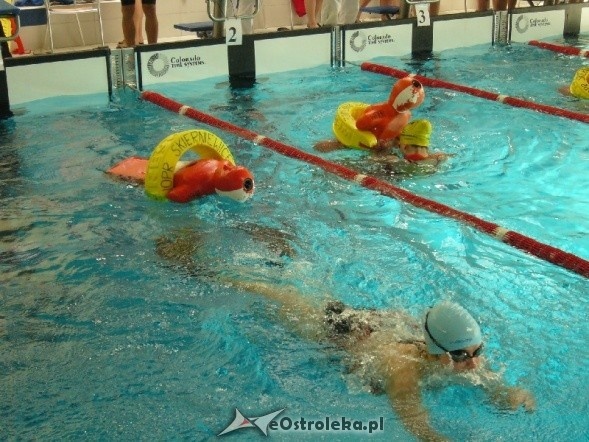 I runda Grand Prix Polski w ratownictwie wodnym (12.02.2011) - zdjęcie #1 - eOstroleka.pl