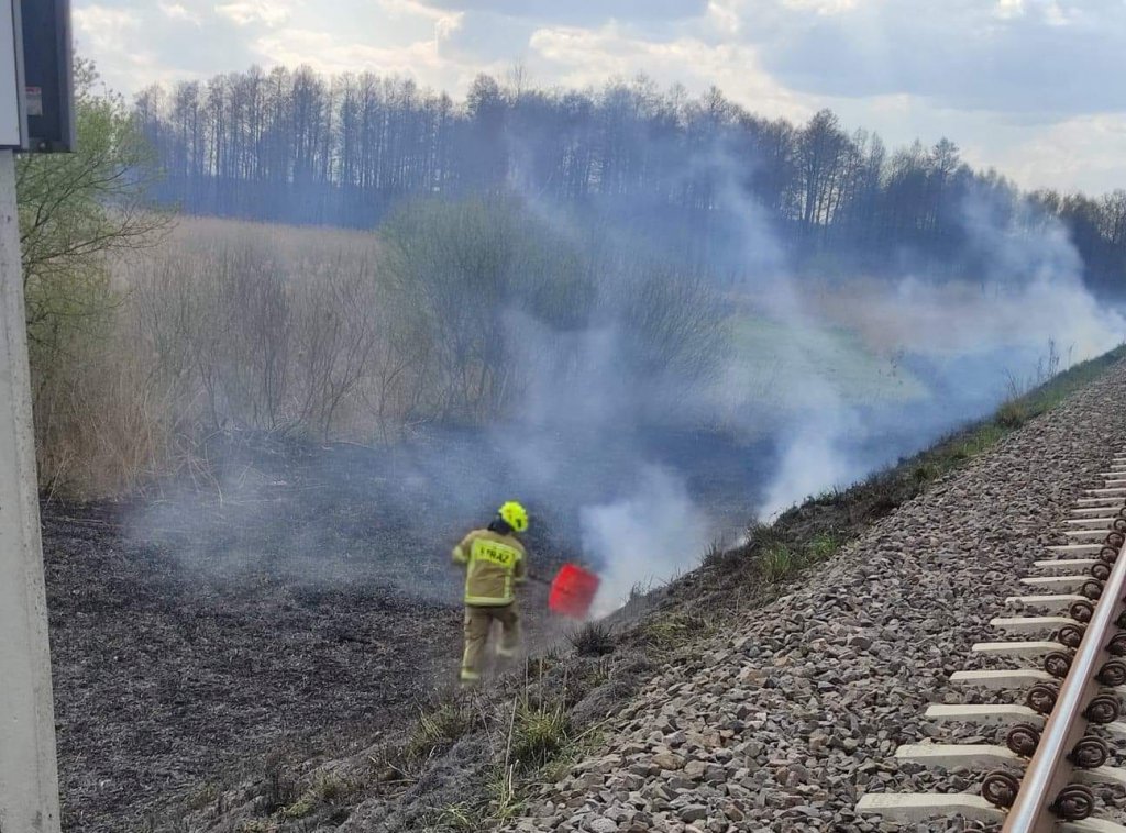 Pożar przy torach w Kleczkowie [29.04.2022] - zdjęcie #2 - eOstroleka.pl