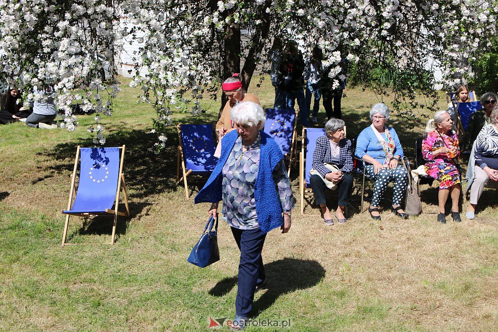 Dzień Europejski i Garden Party w Europe Direct [09.05.2022] - zdjęcie #5 - eOstroleka.pl