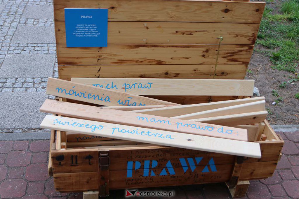 Noc Muzeów pod hasłem “Tam-Tam Afryka” [14.05.2022]  - zdjęcie #43 - eOstroleka.pl
