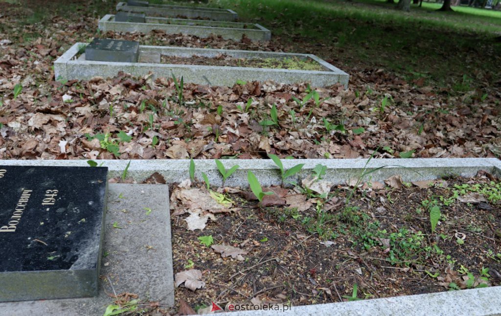 Cmentarz żołnierzy radzieckich w Ostrołęce [25.05.2022] - zdjęcie #19 - eOstroleka.pl