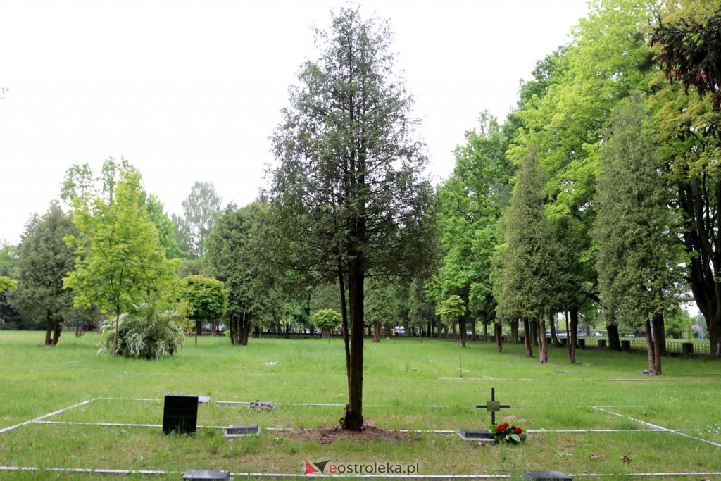 Cmentarz żołnierzy radzieckich w Ostrołęce [25.05.2022] - zdjęcie #35 - eOstroleka.pl
