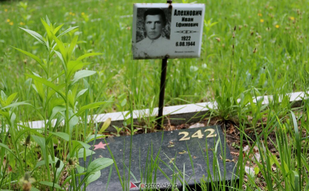 Cmentarz żołnierzy radzieckich w Ostrołęce [25.05.2022] - zdjęcie #44 - eOstroleka.pl