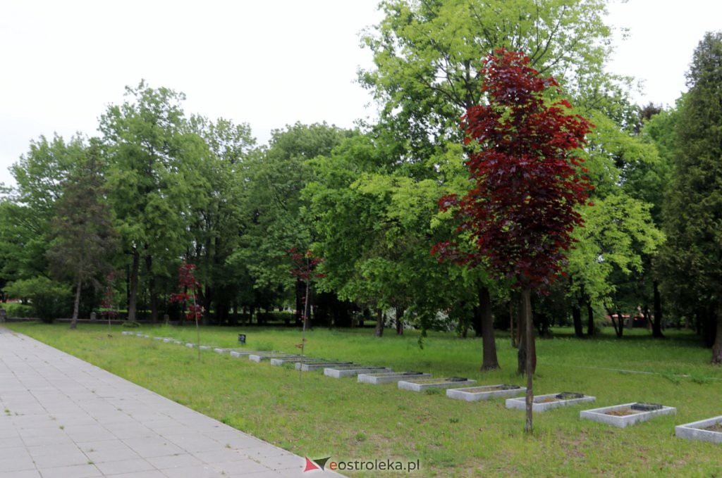Cmentarz żołnierzy radzieckich w Ostrołęce [25.05.2022] - zdjęcie #49 - eOstroleka.pl