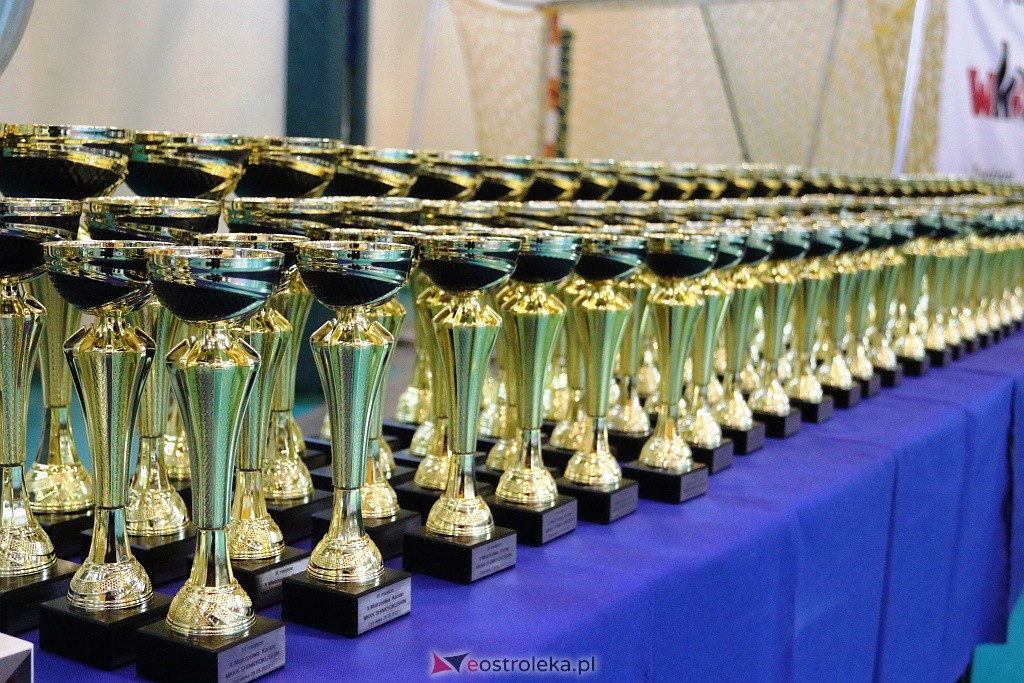 10. Mistrzostwa MKKK Shinkyokushin [28.05.2022] - zdjęcie #18 - eOstroleka.pl