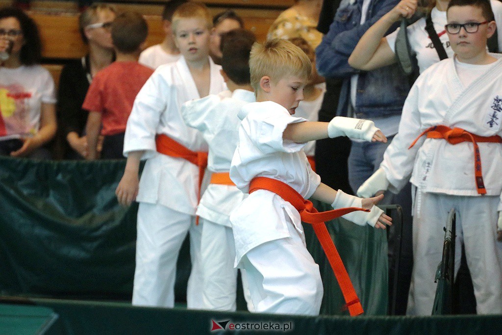 10. Mistrzostwa MKKK Shinkyokushin [28.05.2022] - zdjęcie #105 - eOstroleka.pl